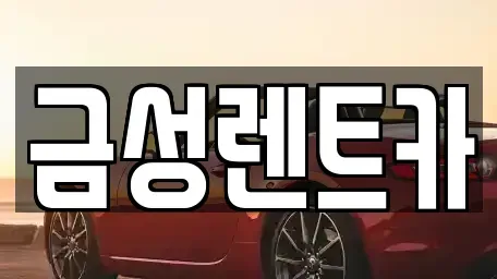부산 북구 화명동 렌트카 전문 금성렌트카