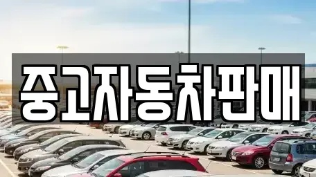 부산 북구 화명동 중고차매매 전문 중고자동차판매