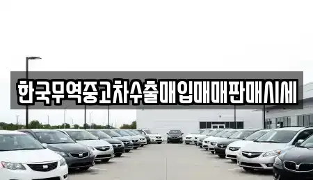 부산 북구 화명동 중고차매입 전문 한국무역중고차수출매입매매판매시세