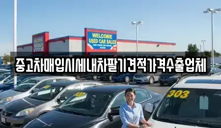 부산 사상구 삼락동 중고차매입 전문 중고차매입시세내차팔기견적가격수출업체