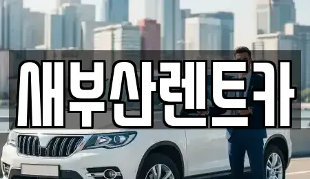 부산 서구 충무동2가 렌트카 전문 새부산렌트카