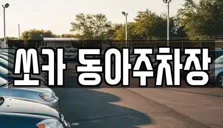 부산 서구 충무동2가 렌트카 전문 쏘카 동아주차장