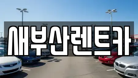 부산 영도구 영선동3가 렌트카 전문 새부산렌트카