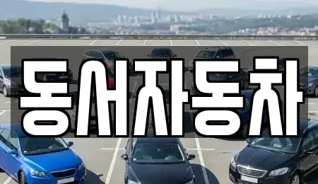 부산 영도구 영선동3가 중고차 전문 동서자동차