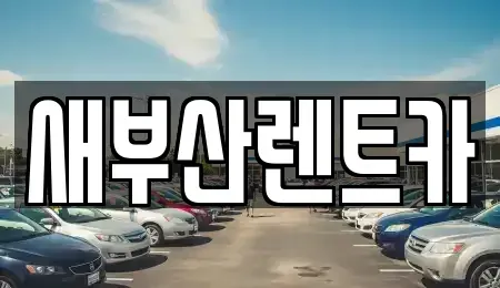 부산 영도구 영선동4가 렌트카 전문 새부산렌트카