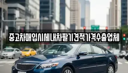 부산 영도구 영선동4가 중고차 전문 중고차매입시세내차팔기견적가격수출업체