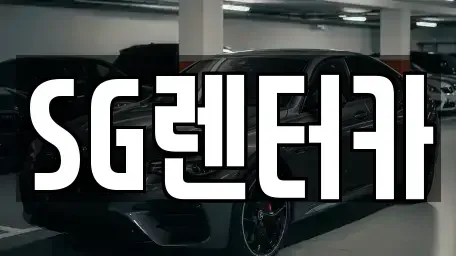 부산 중구 남포동3가 렌트카 전문 SG렌터카