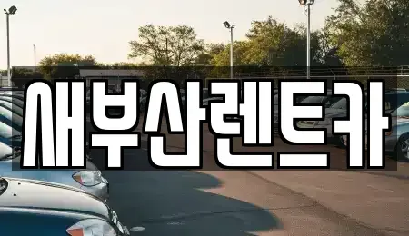 부산 중구 남포동3가 렌트카 전문 새부산렌트카