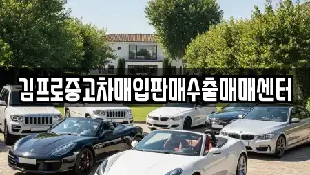 부산 중구 영주동 중고차 전문 김프로중고차매입판매수출매매센터