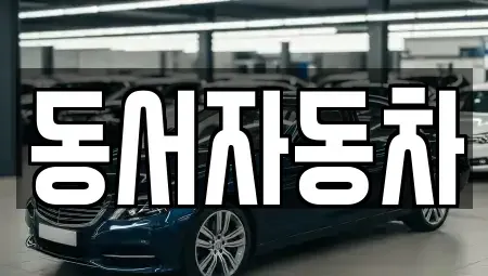 부산 중구 영주동 중고차 전문 동서자동차