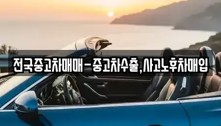 부산 중구 영주동 중고차 전문 전국중고차매매-중고차수출,사고노후차매입