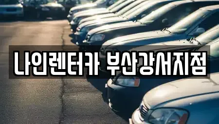 부산광역시 강서구 신호동 렌트카 전문 나인렌터카 부산강서지점