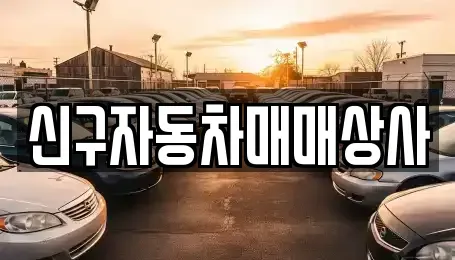 부산광역시 강서구 신호동 중고차 전문 신구자동차매매상사