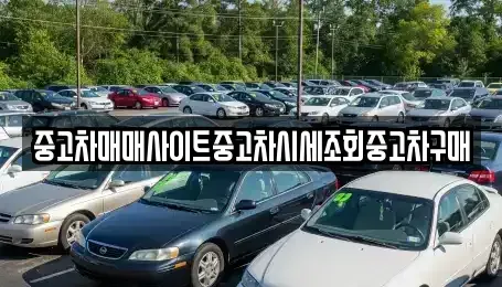 부산광역시 강서구 신호동 장기렌트카,중고차,렌트카,단기렌트카,중고차매입,중고차매매
