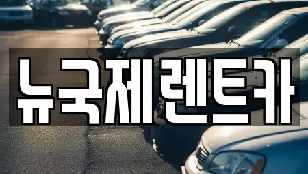 부산광역시 동래구 복천동 렌트카 전문 뉴국제렌트카