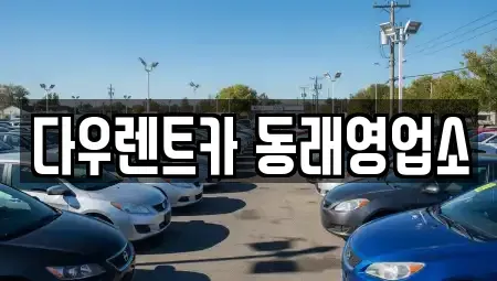 부산광역시 동래구 복천동 렌트카 전문 다우렌트카 동래영업소