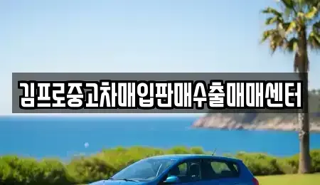 부산광역시 동래구 복천동 중고차매입 전문 김프로중고차매입판매수출매매센터