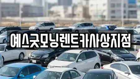 부산광역시 사상구 감전동 렌트카 전문 예스굿모닝렌트카사상지점