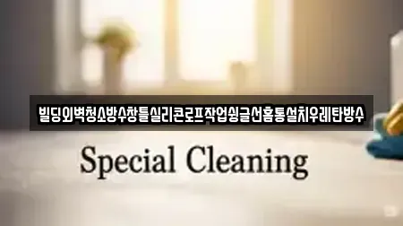 빌딩외벽청소방수창틀실리콘로프작업슁글선홈통설치우레탄방수