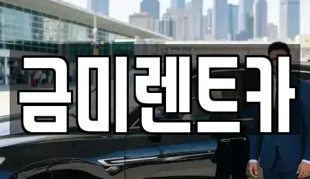 서울 마포구 신정동 렌트카 전문 금미렌트카