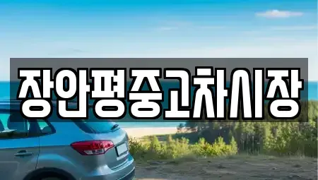 서울 마포구 신정동 중고차,렌트카,중고차매입,중고차매매,장기렌트카,단기렌트카