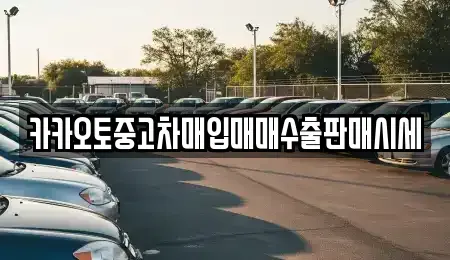 서울 마포구 신정동 중고차매입 전문 카카오토중고차매입매매수출판매시세