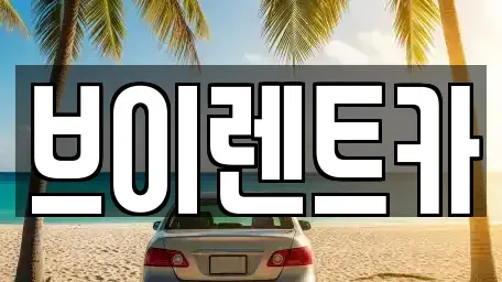 서울 성동구 금호동2가 렌트카 전문 브이렌트카