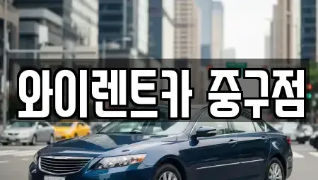 서울 성동구 금호동2가 렌트카 전문 와이렌트카 중구점