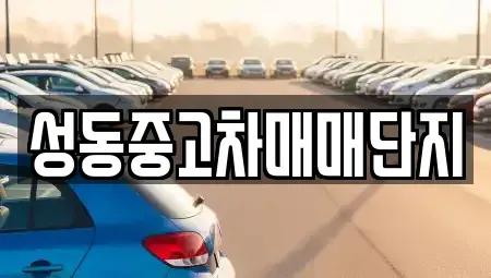 서울 성동구 금호동2가 중고차 전문 성동중고차매매단지
