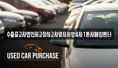 서울 성동구 금호동2가 중고차매매 전문 수출중고차법인차고장사고차망자차압류차1톤차매입센터