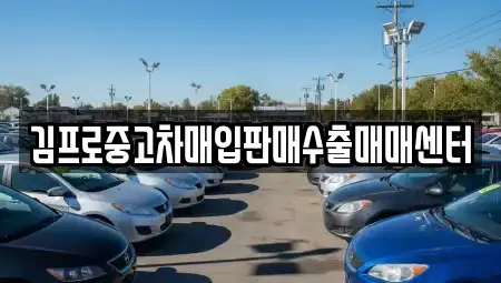 서울 성동구 금호동2가 중고차매입 전문 김프로중고차매입판매수출매매센터