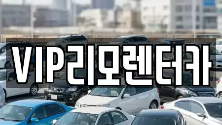 서울 성동구 금호동4가 단기렌트카 전문 VIP리모렌터카