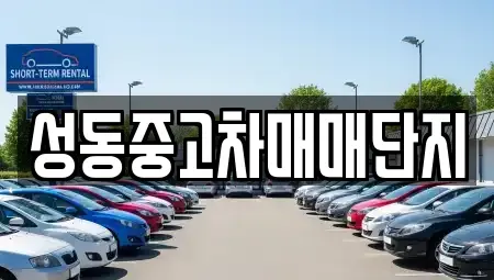 서울 성동구 금호동4가 중고차 전문 성동중고차매매단지