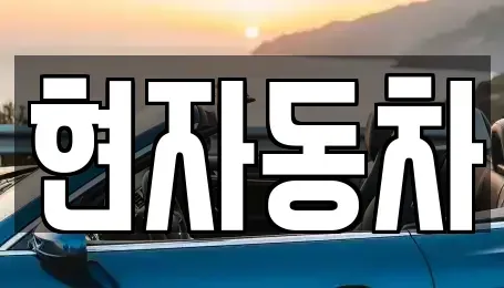 서울 성동구 금호동4가 중고차 전문 현자동차