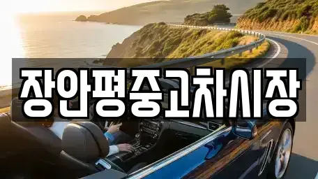 서울 성동구 금호동4가 중고차매매 전문 장안평중고차시장
