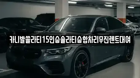 서울 용산구 이태원동 렌트카 전문 카니발쏠라티15인승솔라티승합차리무진렌트대여