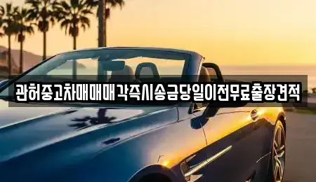 서울 은평구 진관동 중고차 전문 관허중고차매매매각즉시송금당일이전무료출장견적