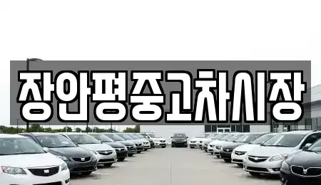 서울 은평구 진관동 중고차 전문 장안평중고차시장