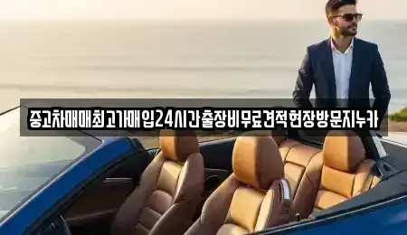 서울 은평구 진관동 중고차매매 전문 중고차매매최고가매입24시간출장비무료견적현장방문지누카