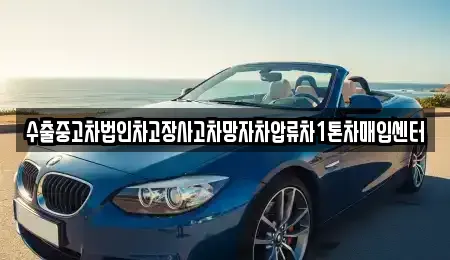 서울 은평구 진관동 중고차매입 전문 수출중고차법인차고장사고차망자차압류차1톤차매입센터
