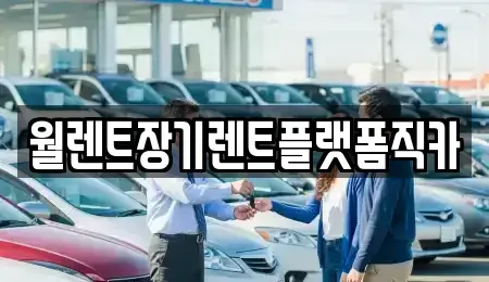 서울 종로구 삼청동 장기렌트카 전문 월렌트장기렌트플랫폼직카