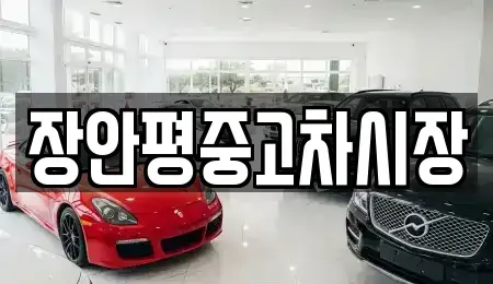 서울 종로구 삼청동 중고차매매 전문 장안평중고차시장