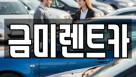 서울 종로구 연건동 렌트카 전문 금미렌트카
