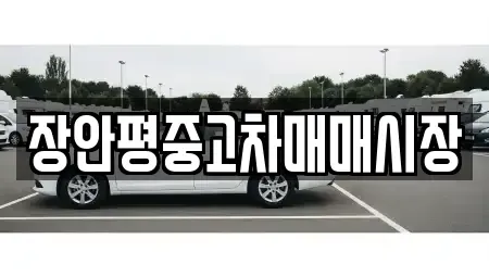 서울 종로구 연건동 중고차 전문 장안평중고차매매시장