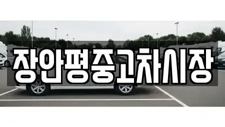 서울 종로구 연건동 중고차 전문 장안평중고차시장