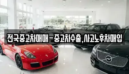 서울 종로구 연건동 중고차 전문 전국중고차매매-중고차수출,사고노후차매입
