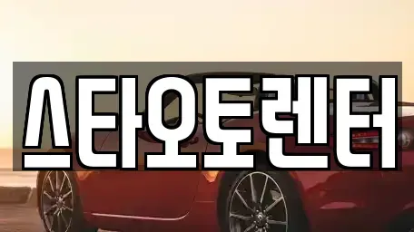 서울 종로구 종로4가 렌트카 전문 스타오토렌터