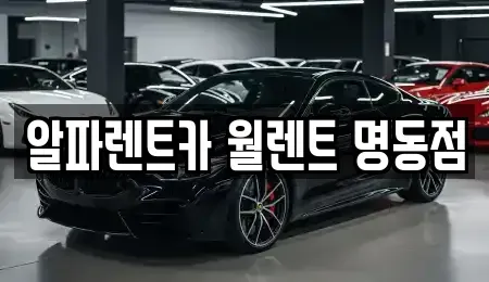 서울 종로구 종로4가 렌트카 전문 알파렌트카 월렌트 명동점