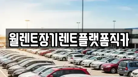 서울 종로구 종로4가 장기렌트카 전문 월렌트장기렌트플랫폼직카