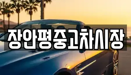 서울 종로구 종로4가 중고차매매 전문 장안평중고차시장